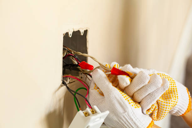 Emergency Electrical Repair Services in Carrollwood, FL